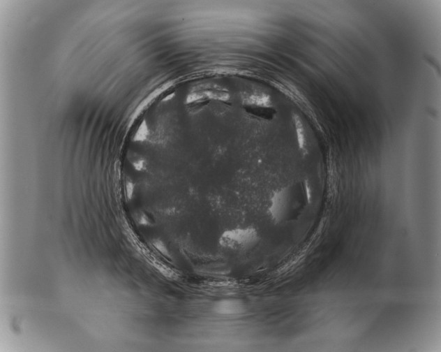 X0000100750798200807101702