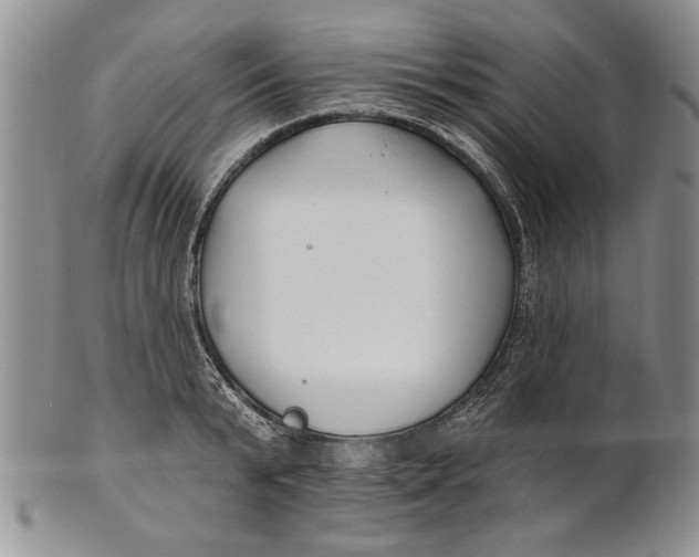 X0000100750799200807101702