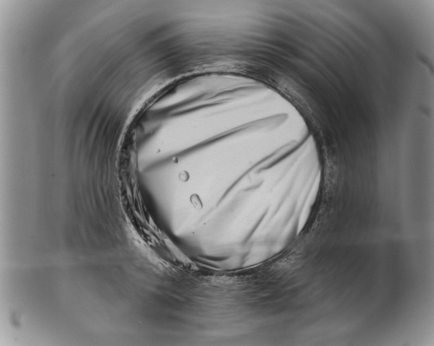 X0000100750800200807101702