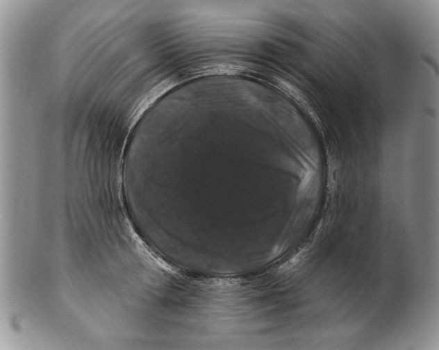 X0000100750802200807101702