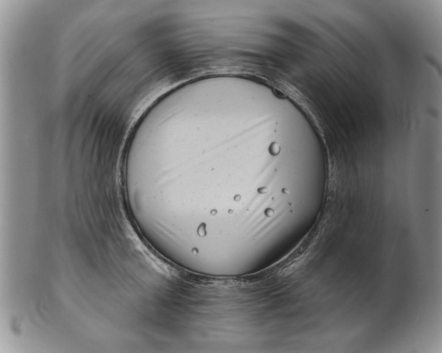 X0000100750803200807101702