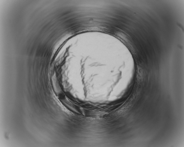 X0000100750804200807101701