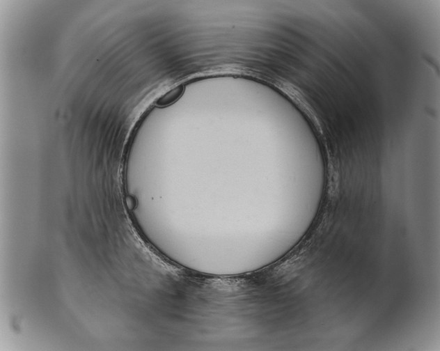 X0000100750805200807101701