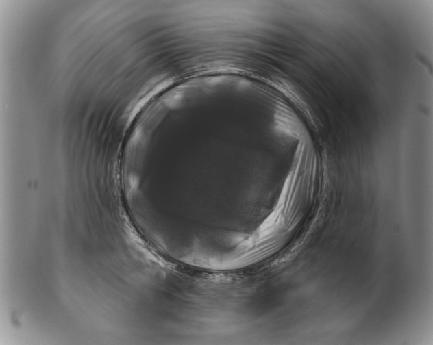 X0000100750806200807101701