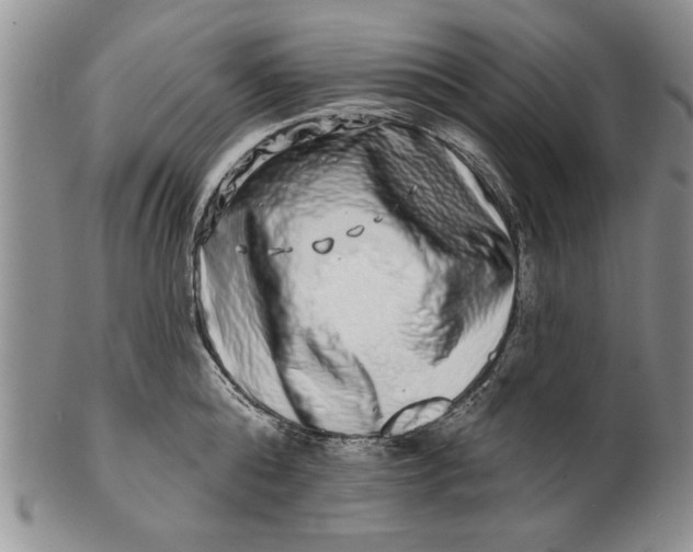 X0000100750808200807101701