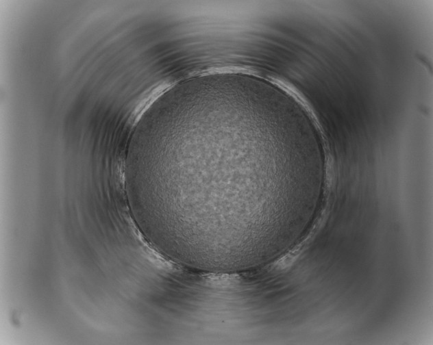 X0000100750809200807101701