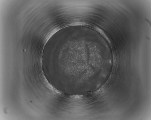 X0000100750810200807101701