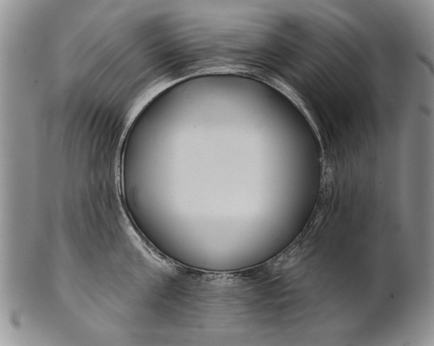 X0000100750811200807101701