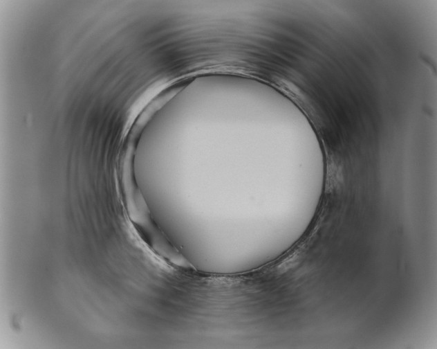 X0000100750812200807101701