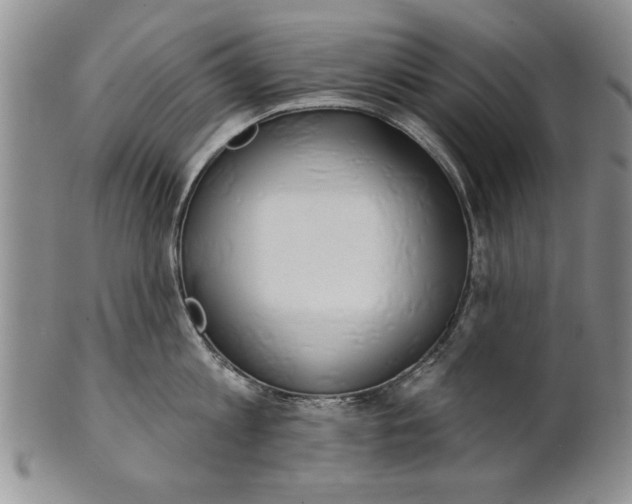 X0000100750813200807101701