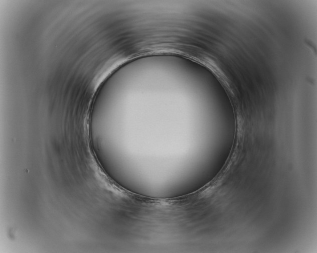 X0000100750814200807101701