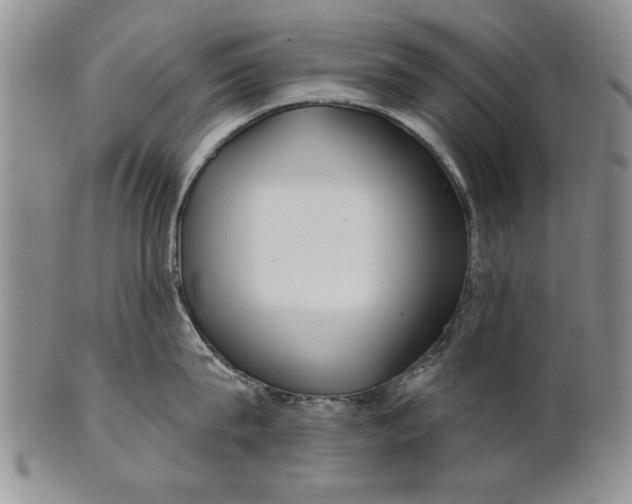 X0000100750815200807101701