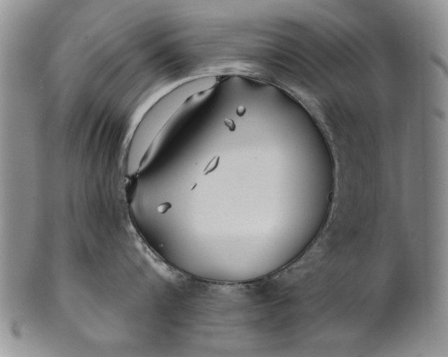 X0000100750816200807101701