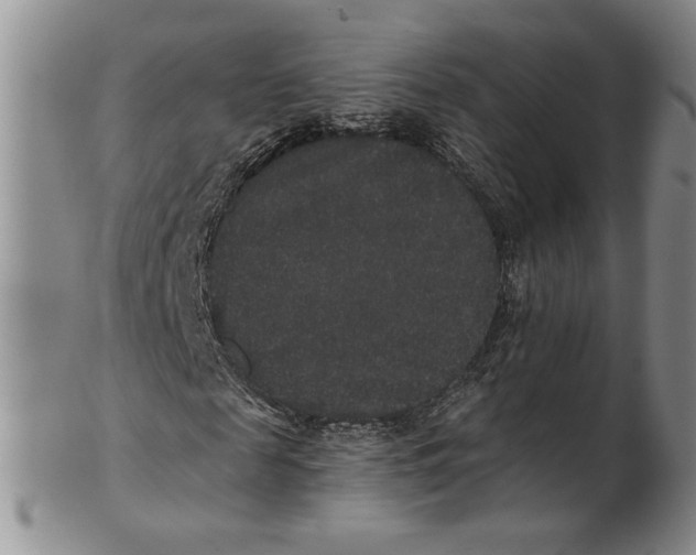 X0000100750817200807101701