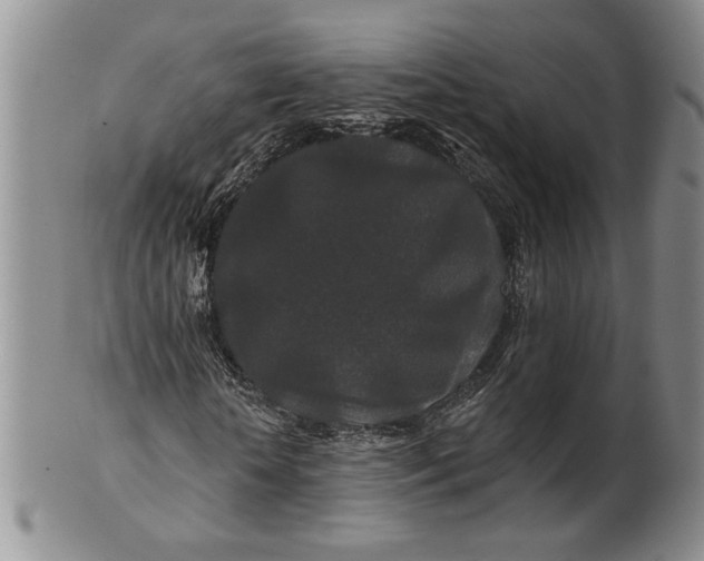 X0000100750818200807101701