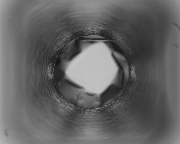 X0000100750819200807101701