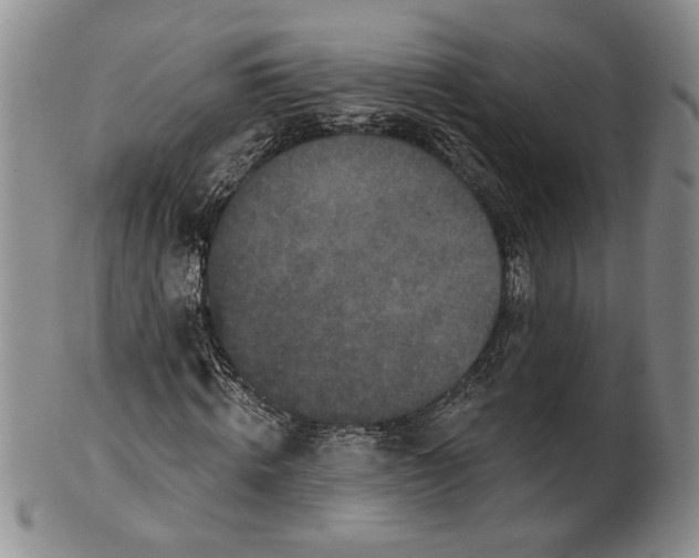 X0000100750820200807101701