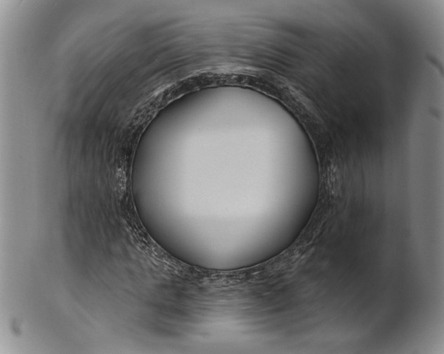 X0000100750821200807101701