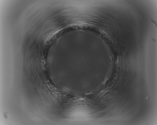 X0000100750822200807101701