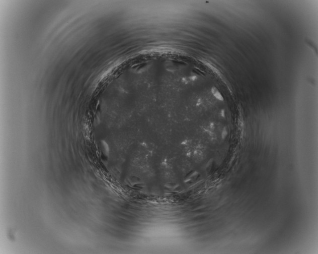 X0000100750823200807101701