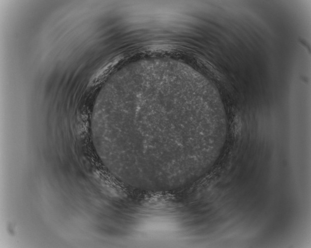 X0000100750824200807101701