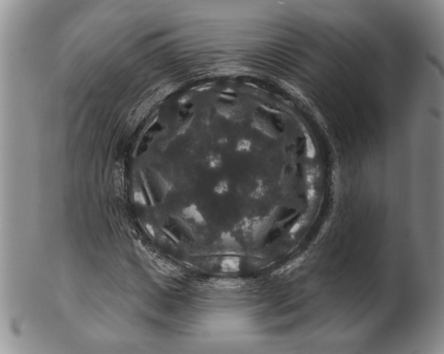 X0000100750825200807101701