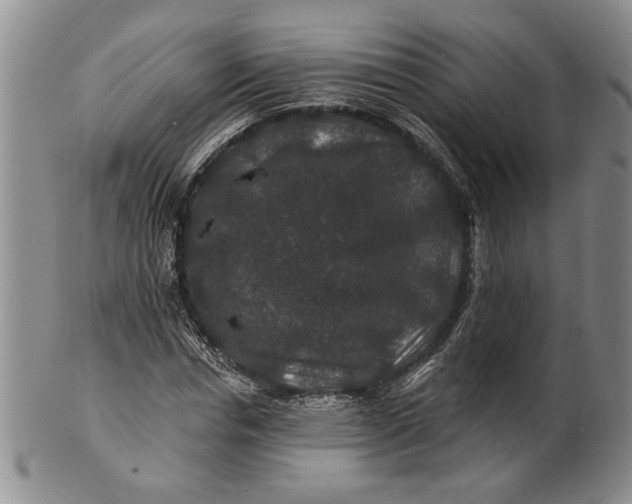 X0000100750826200807101701