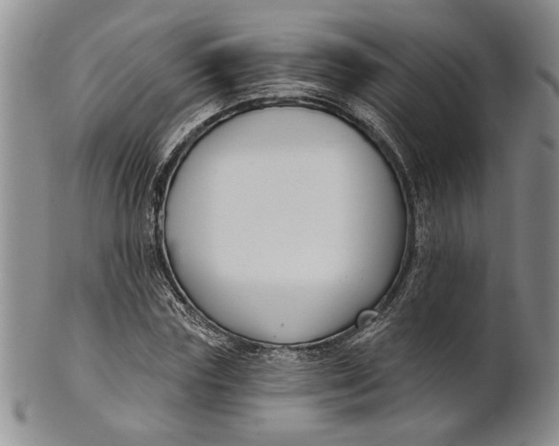 X0000100750827200807101701