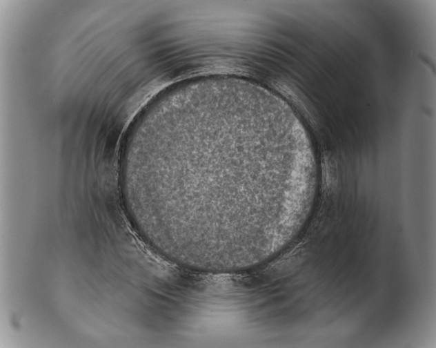 X0000100750828200807101701