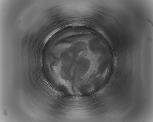 X0000100750829200807101701