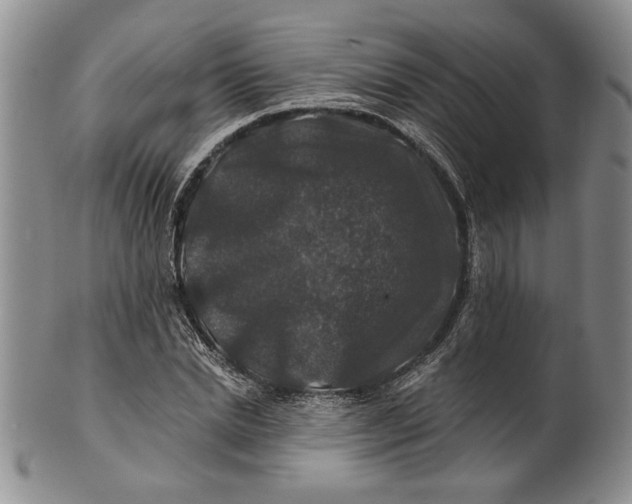 X0000100750830200807101701