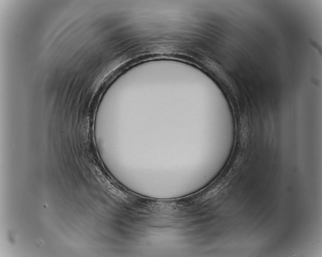 X0000100750831200807101701