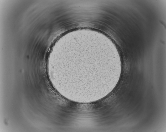 X0000100750832200807101701