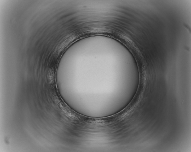 X0000100750833200807101701