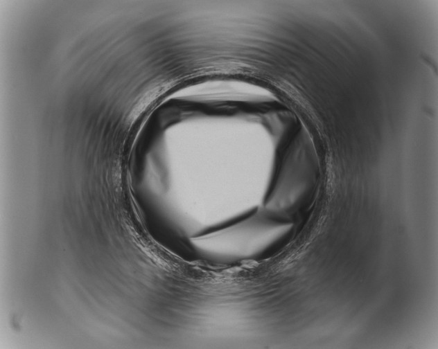 X0000100750834200807101701