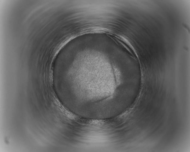 X0000100750835200807101701