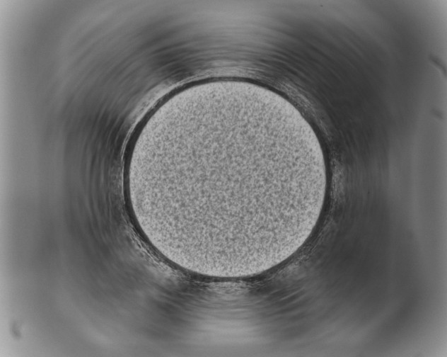 X0000100750836200807101701