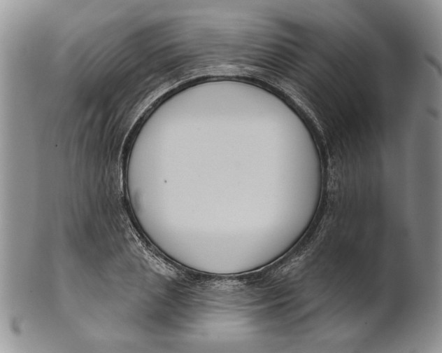 X0000100750837200807101701