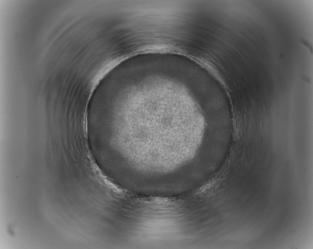 X0000100750839200807101701