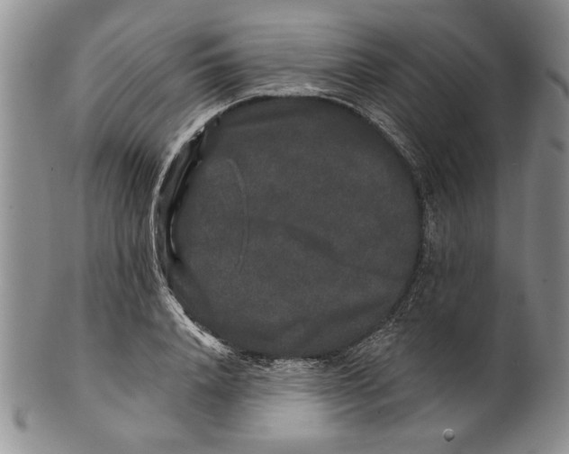 X0000100750840200807101701