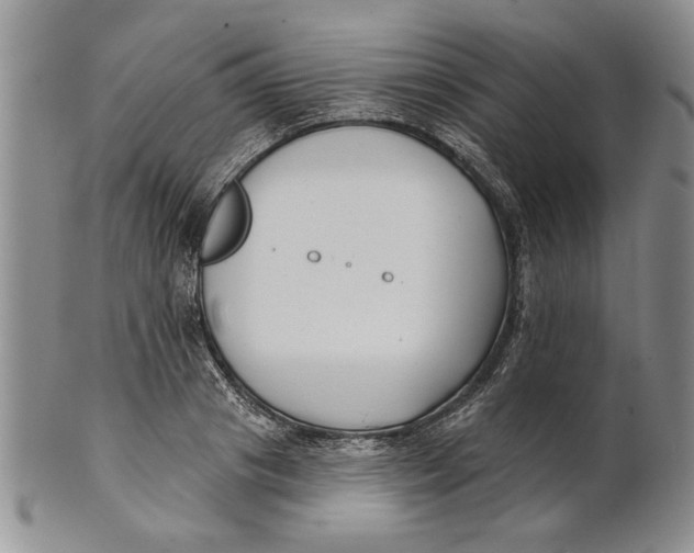 X0000100750841200807101701