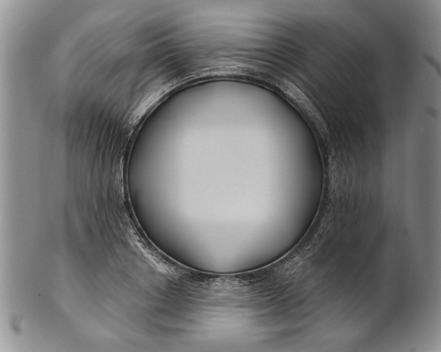 X0000100750842200807101701