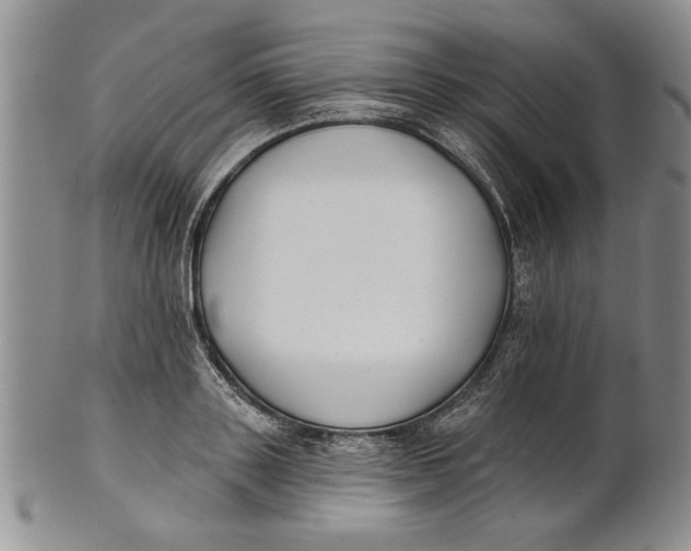 X0000100750843200807101701