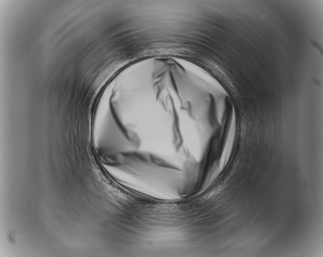 X0000100750844200807101701