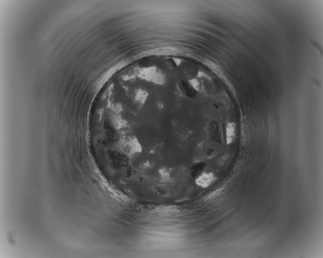 X0000100750845200807101701