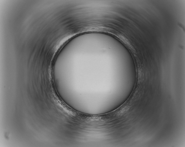 X0000100750846200807101701