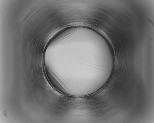 X0000100750847200807101701