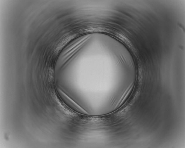 X0000100750849200807101701