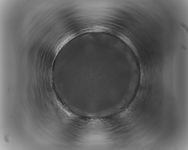 X0000100750850200807101701