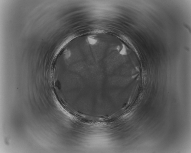 X0000100750851200807101701